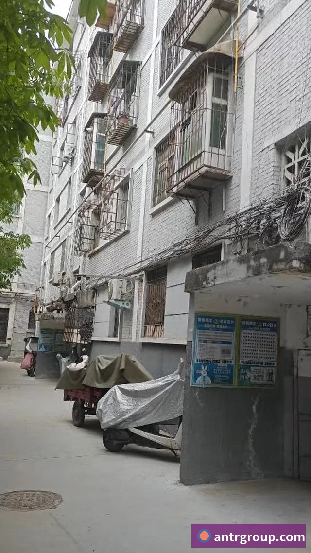 数据防护可视化